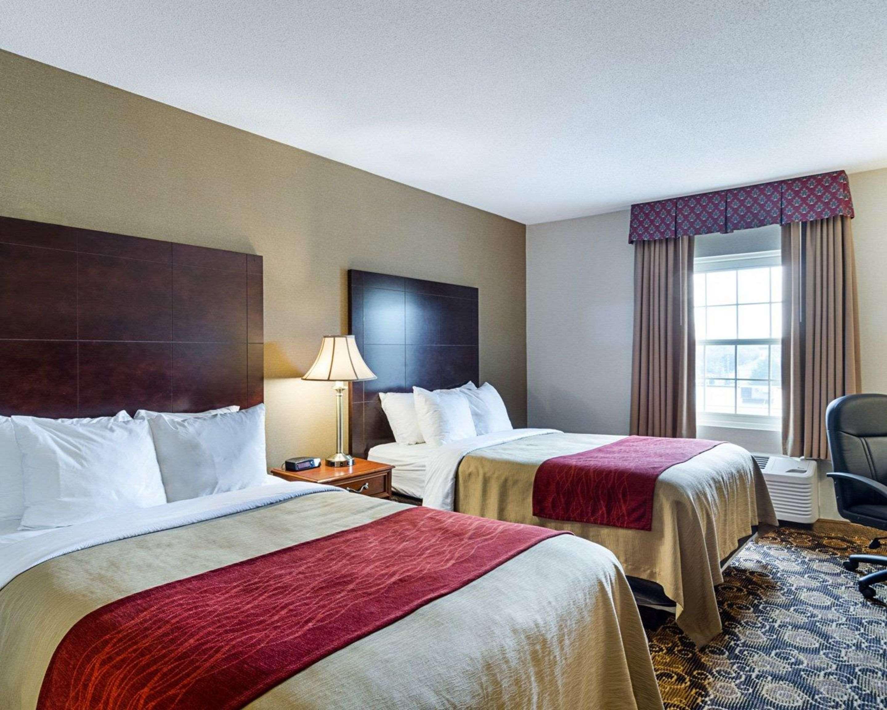 Comfort Inn Rockland - Boston מראה חיצוני תמונה