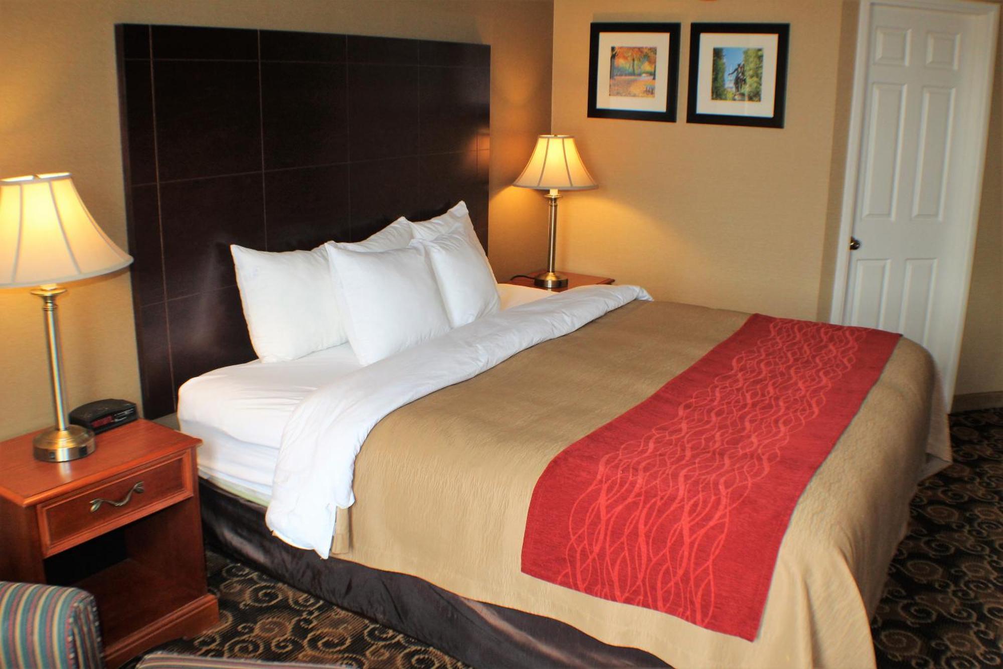 Comfort Inn Rockland - Boston מראה חיצוני תמונה