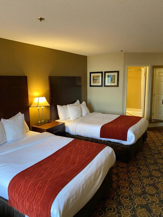 Comfort Inn Rockland - Boston מראה חיצוני תמונה